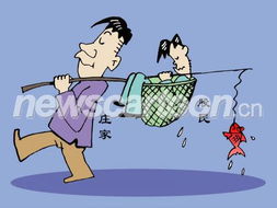 上海打折网