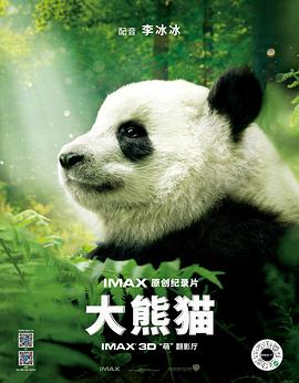 大熊猫大厦动画片
