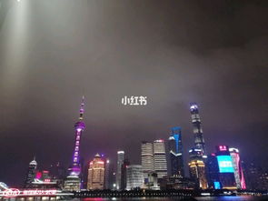 上海一夜迅雷