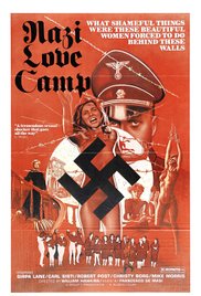 二战伦理片纳粹实验营电影