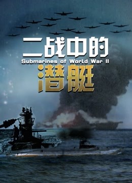二战潜艇风云录